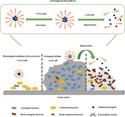 pH-activated antibiofilm strategies for controlling dental caries